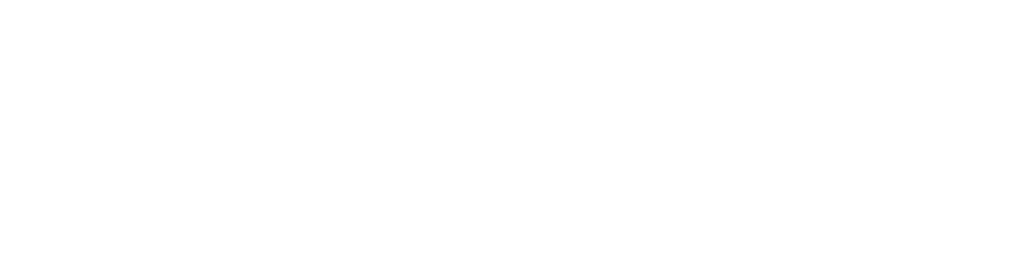 plusKMS logo